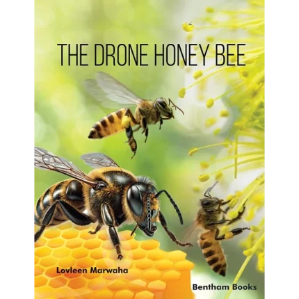 The Drone Honey Bee