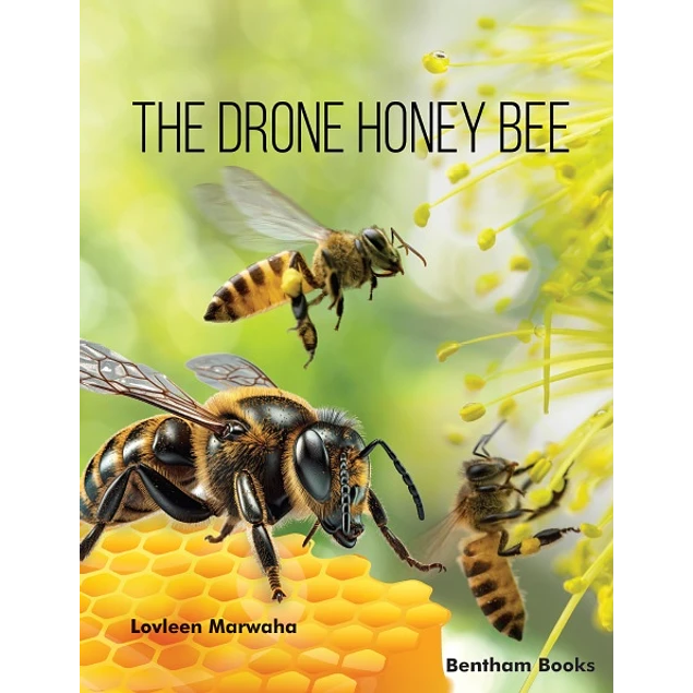 The Drone Honey Bee