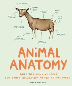 Animal Anatomy