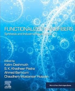 Functionalized Nanofibers Synthesis and Industrial Applications