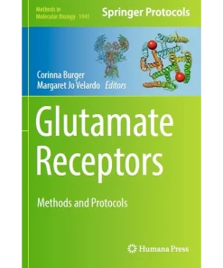 Glutamate Receptors Methods and Protocols