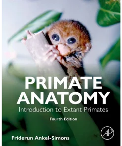 Primate Anatomy