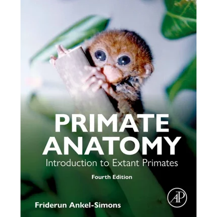 Primate Anatomy
