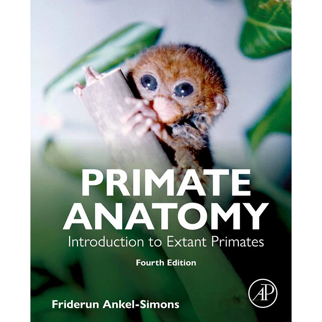 Primate Anatomy