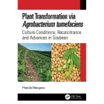 Plant Transformation via Agrobacterium Tumefaciens