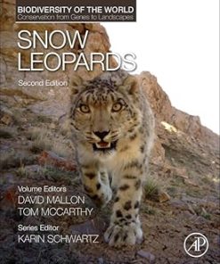 Snow Leopards
