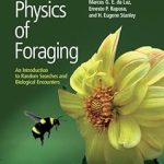 The Physics of Foraging