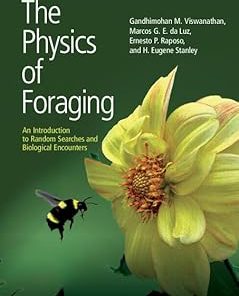 The Physics of Foraging