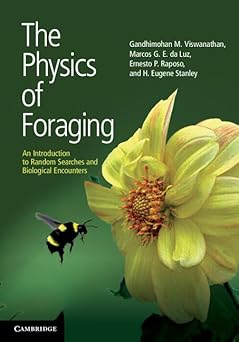 The Physics of Foraging