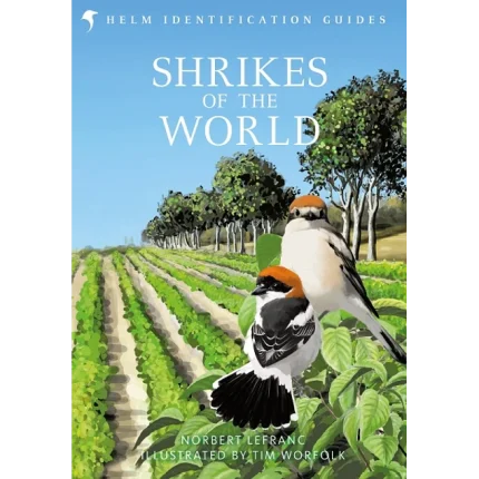 Shrikes of the World
