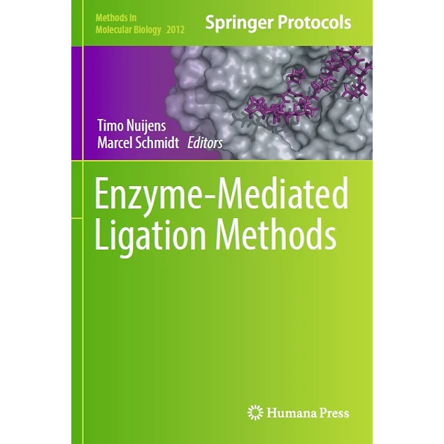 Enzyme-Mediated Ligation Methods