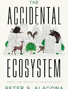 The Accidental Ecosystem