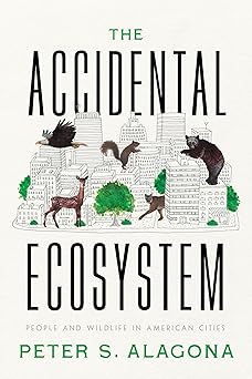 The Accidental Ecosystem