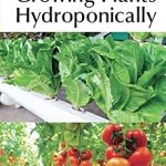 Complete Guide for Growing Plants Hydroponically