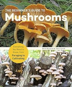 The Beginner's Guide to Mushrooms