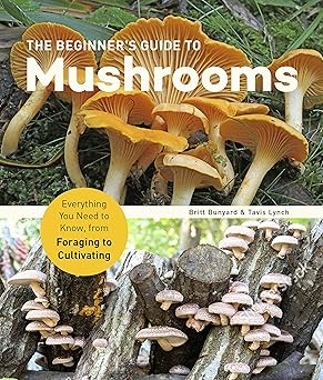 The Beginner's Guide to Mushrooms