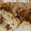 Toxicology of Amphibian Tadpoles
