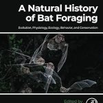 A Natural History of Bat Foraging