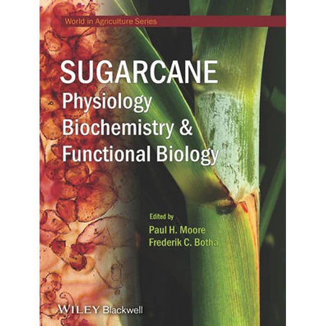 Sugarcane Physiology Biochemistry and Functional Biology