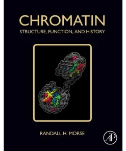 Chromatin Structure Function and History