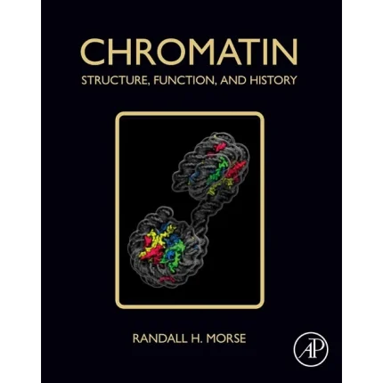 Chromatin Structure Function and History