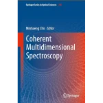 Coherent Multidimensional Spectroscopy