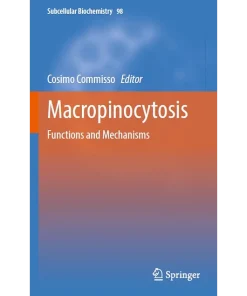 Macropinocytosis Functions and Mechanisms