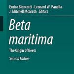 Beta maritima The Origin of Beets