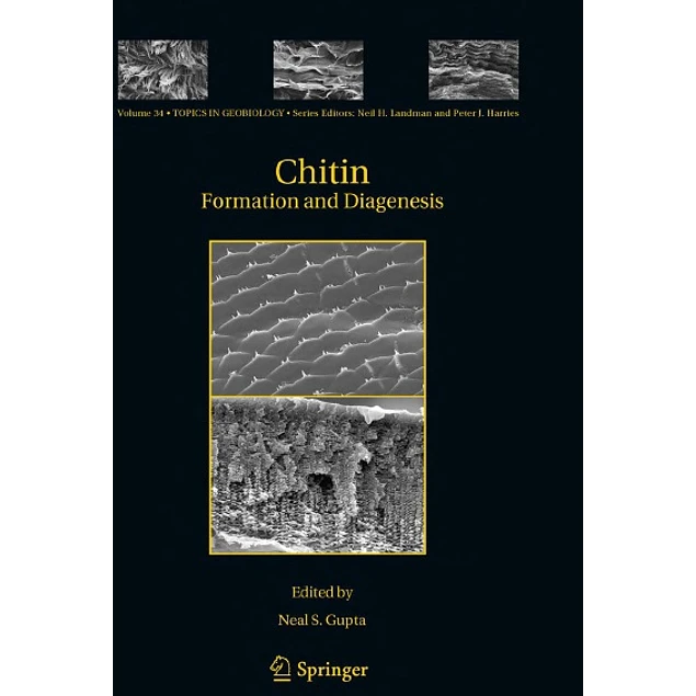 Chitin Formation and Diagenesis