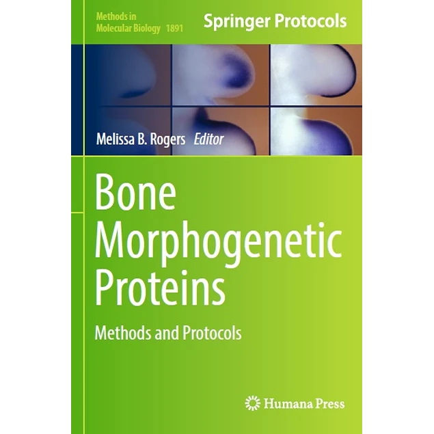 Bone Morphogenetic Proteins Methods and Protocols