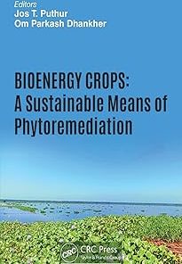 Bioenergy Crops A Sustainable Means of Phytoremediation
