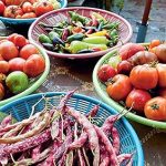 Year-Round Gardening