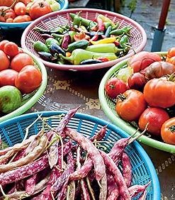 Year-Round Gardening