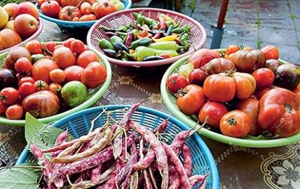 Year-Round Gardening