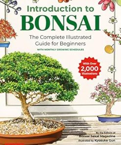 Introduction to Bonsai