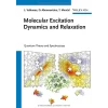 Molecular Excitation Dynamics and Relaxation