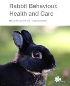 Rabbit Behaviour Health and Care