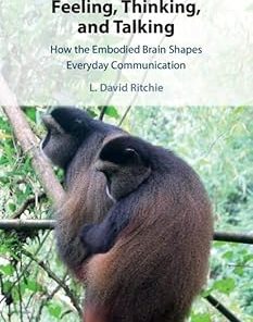 Feeling Thinking and Talking How the Embodied Brain Shapes Everyday Communication