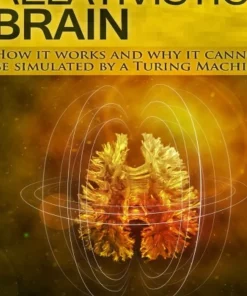 The Relativistic Brain