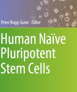 Human Naïve Pluripotent Stem Cells