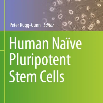 Human Naïve Pluripotent Stem Cells