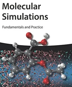Molecular Simulations Fundamentals and Practice