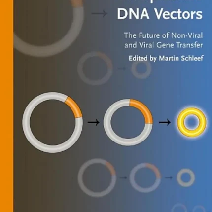 Minicircle and Miniplasmid DNA Vectors