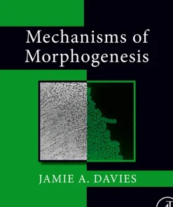 Mechanisms of Morphogenesis