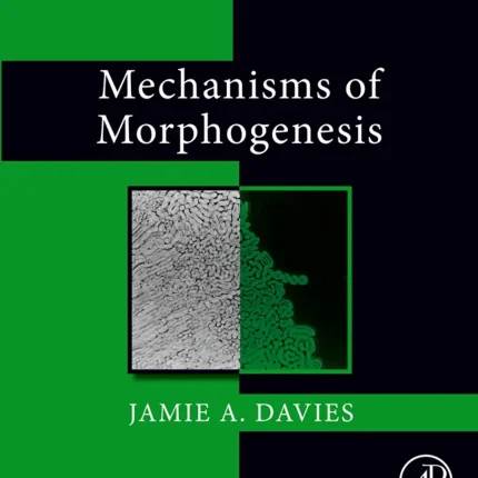 Mechanisms of Morphogenesis