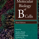 Molecular Biology of B Cells