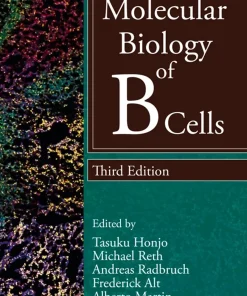 Molecular Biology of B Cells