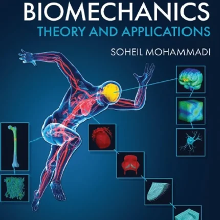 Multiscale Biomechanics Theory and Applications