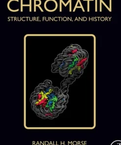 Chromatin Structure Function and History
