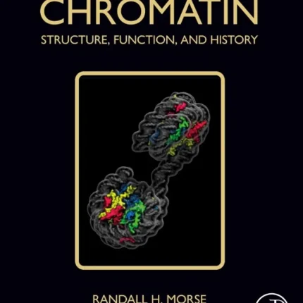 Chromatin Structure Function and History